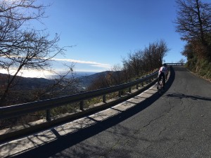 IMG_6978